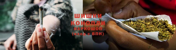 крисы Вязьма