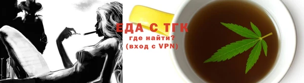 индика Володарск