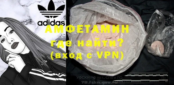 индика Володарск