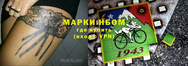 индика Володарск