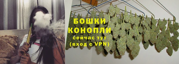 ПСИЛОЦИБИНОВЫЕ ГРИБЫ Семилуки