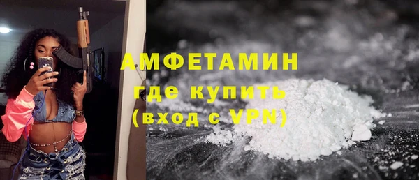 индика Володарск